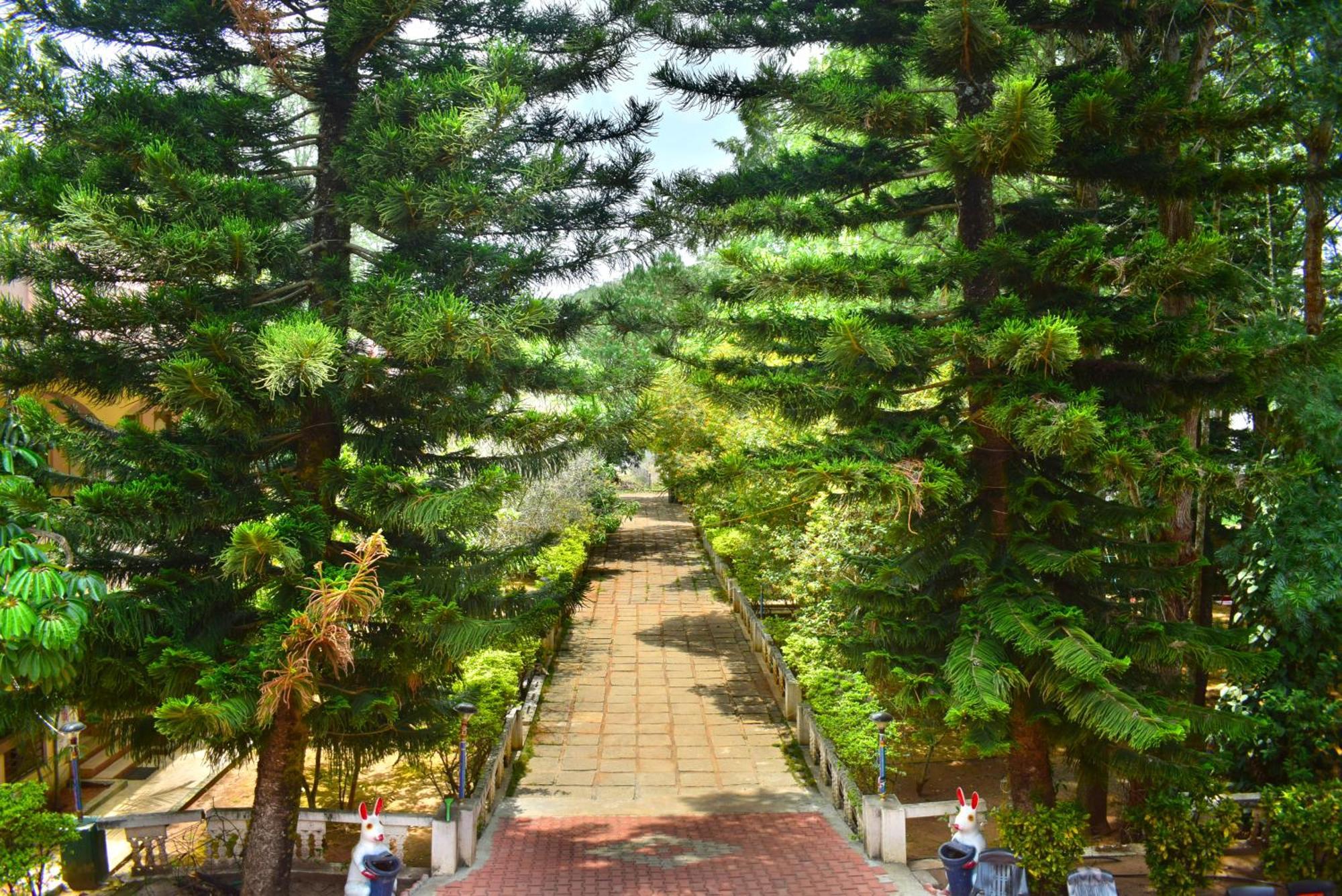 Jains Royal Palace Resorts Yelagiri Eksteriør bilde